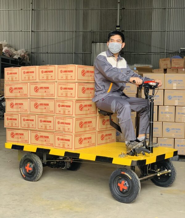 XE ĐIỆN ĐA DỤNG SÀN PHẲNG - TB200 - Hình ảnh 2
