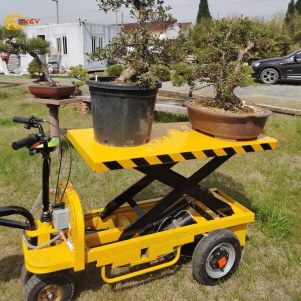 XE ĐIỆN CHỞ HÀNG NÂNG SÀN - SH700 - Hình ảnh 8